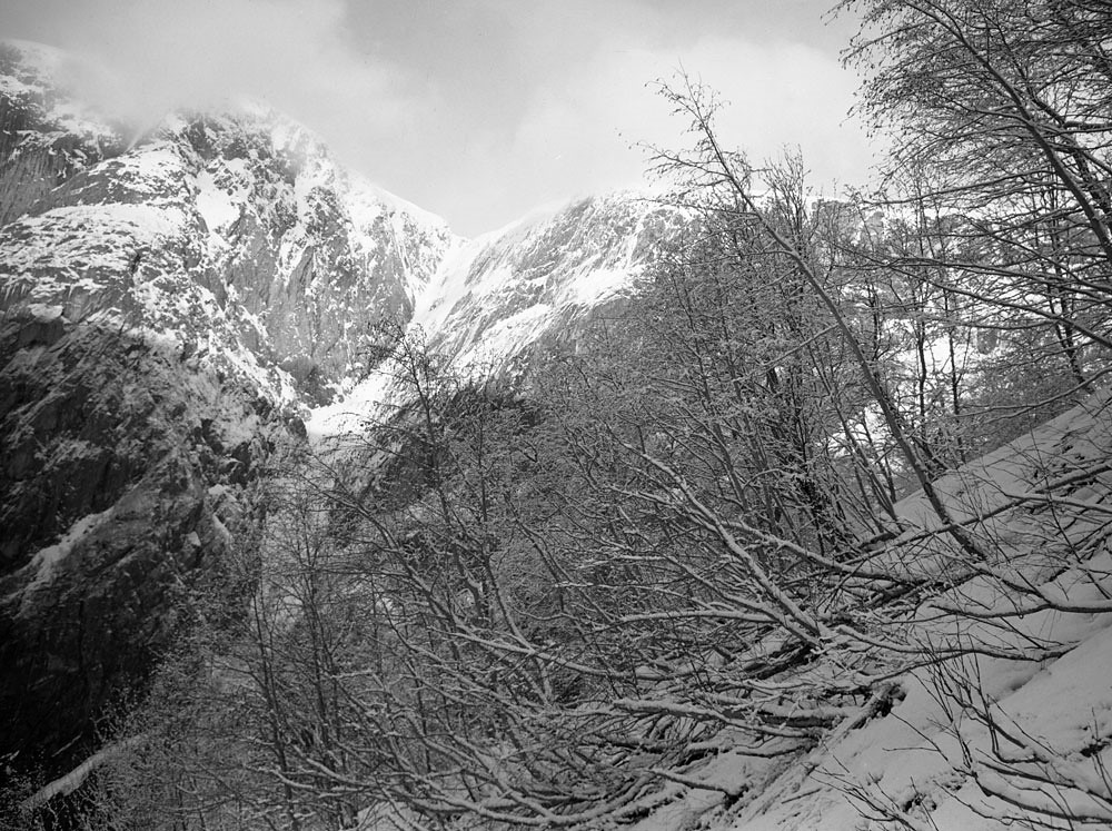 Eidfjord area