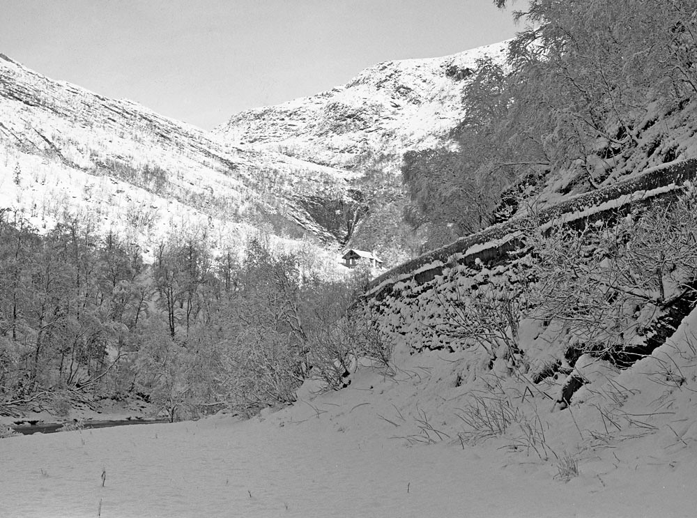 Near Hamlagrovatnet Lake